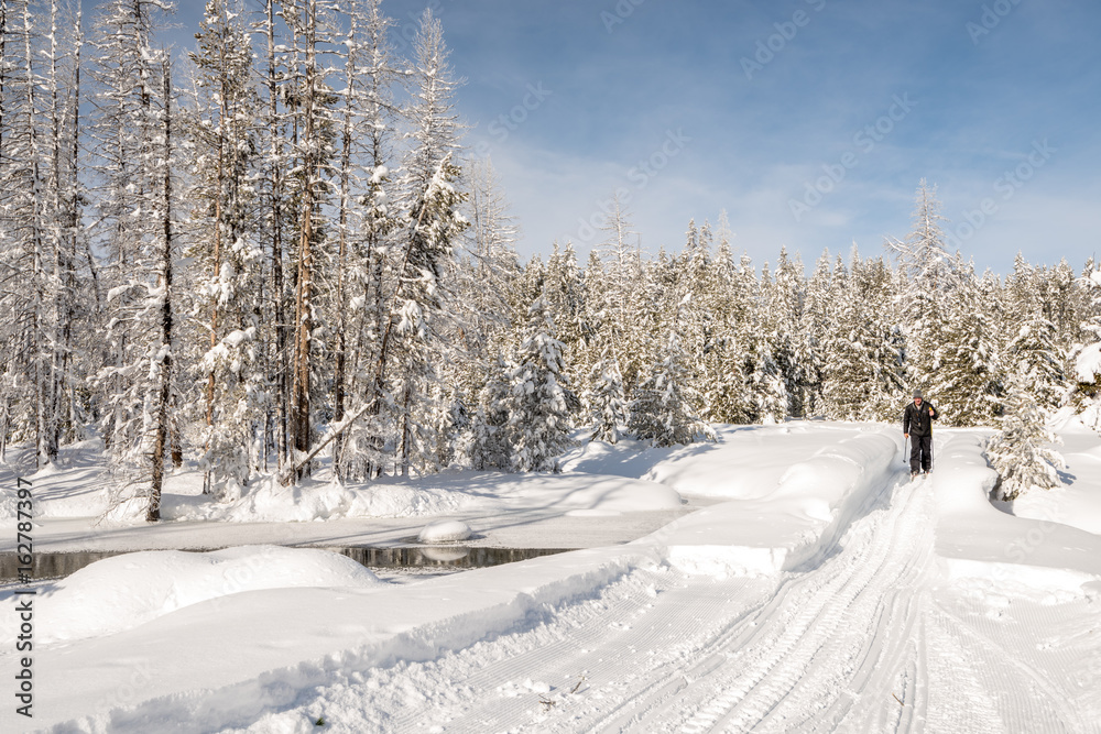 Obraz premium Skier crosses a bridge in winter with snow and forest
