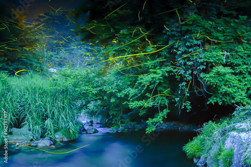 Fireflies dancing in the clear river