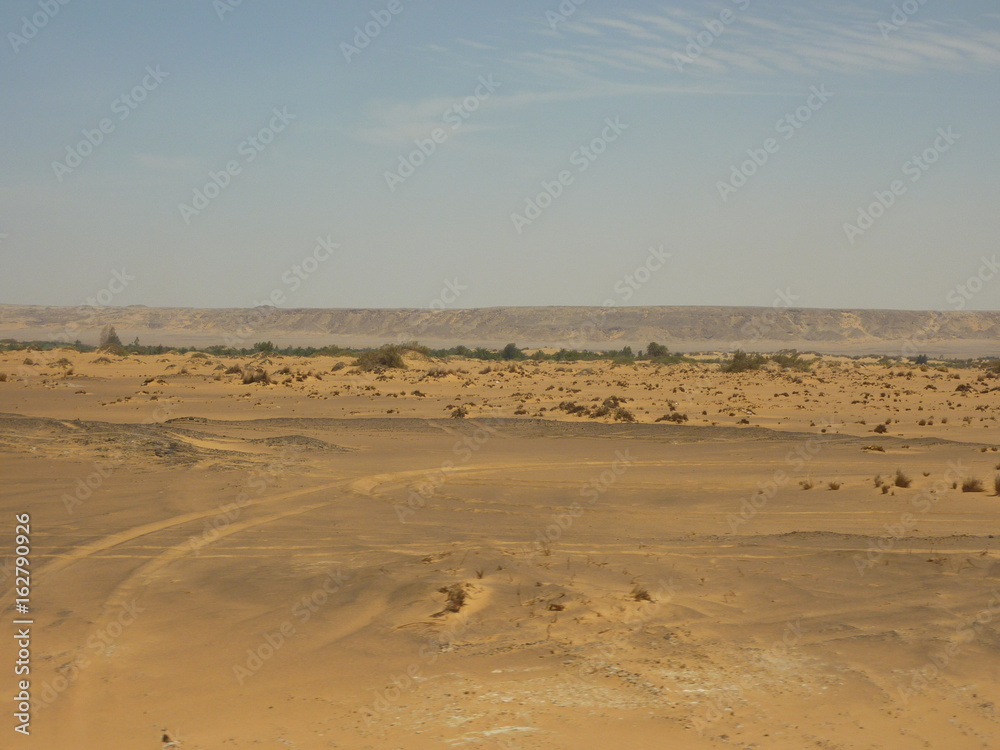 サハラ砂漠の風景 サハラ砂漠の風景