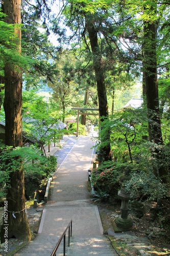 伊野天照皇大神宮、