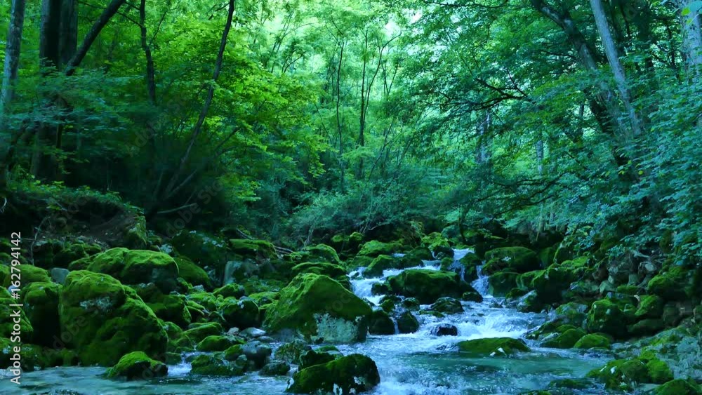 Waterfalls with rocks covered by green moss, tilt down, UHD Waterfalls with rocks covered by green moss, tilt down, UHD