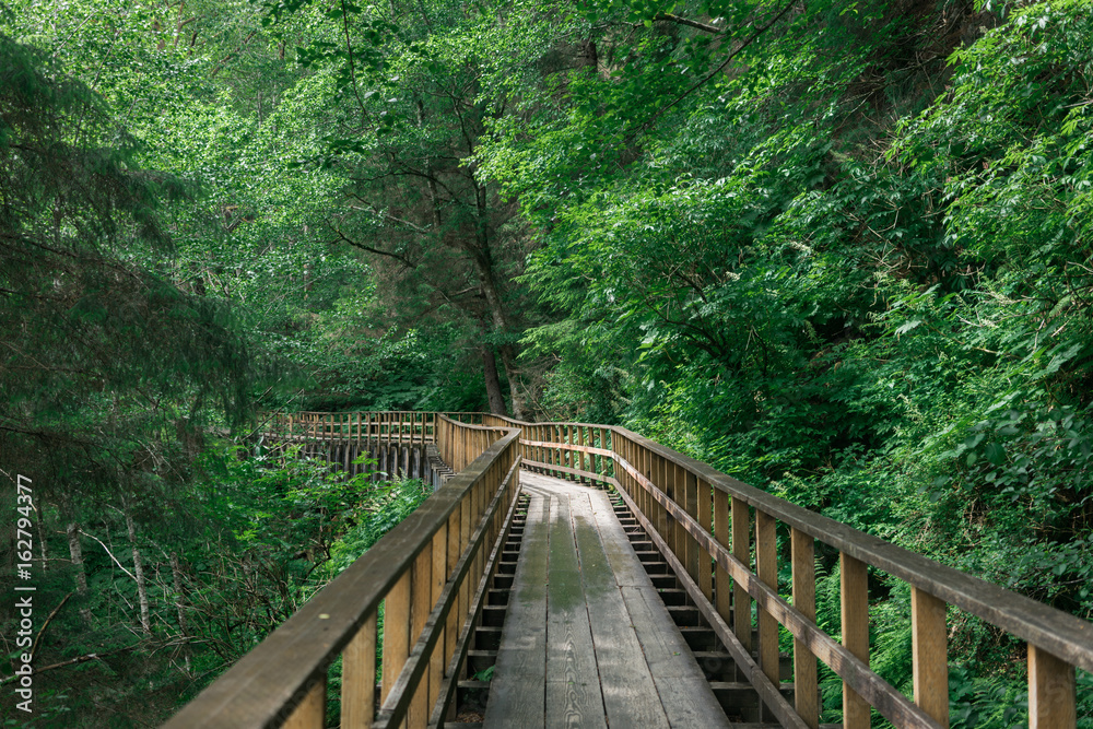 Fototapeta Drewniany most w lesie