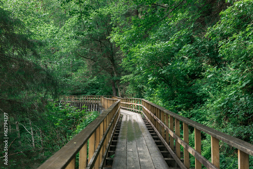 Wooden Bridge in Forest