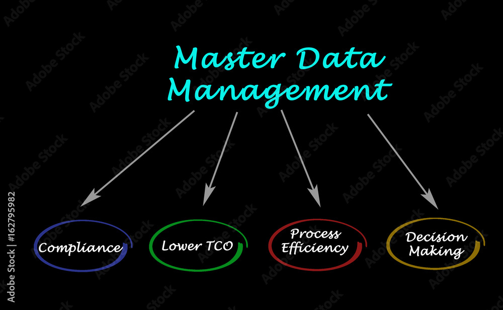 Master Data Library Diagram of Master Data Management Stock Illustration | Adobe Stock