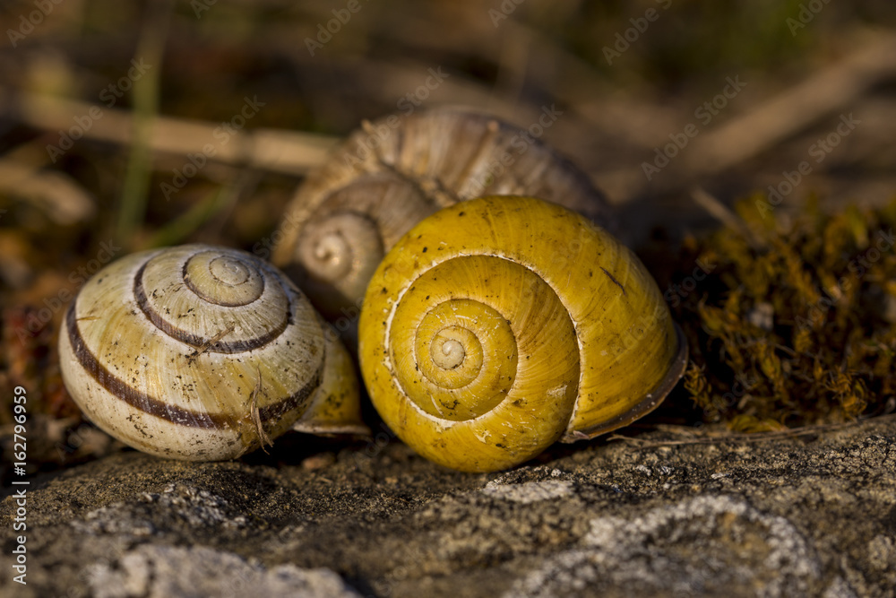 Natur, Freizeit, Erleben