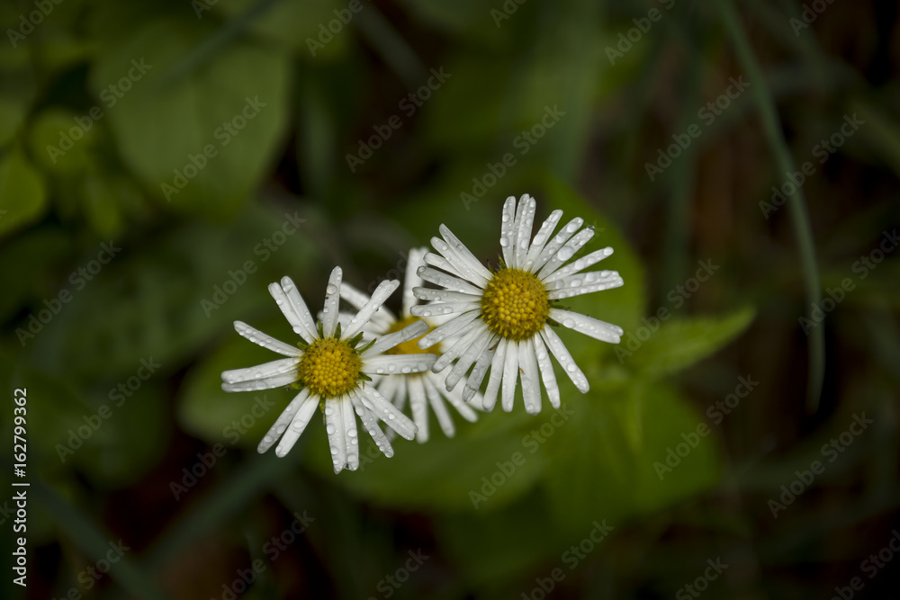Natur, Wandern, Erleben, Urlaub, Freizeit