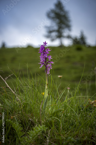 Natur, Wandern, Erleben, Urlaub, Freizeit