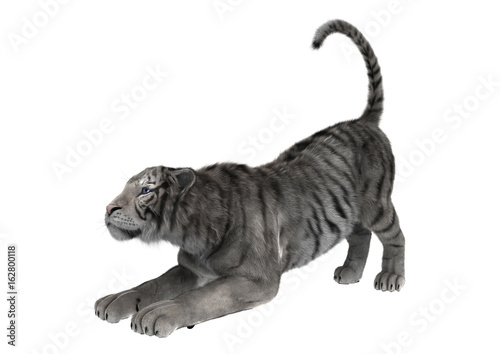 Fototapeta Naklejka Na Ścianę i Meble -  3D Rendering White Tiger on White