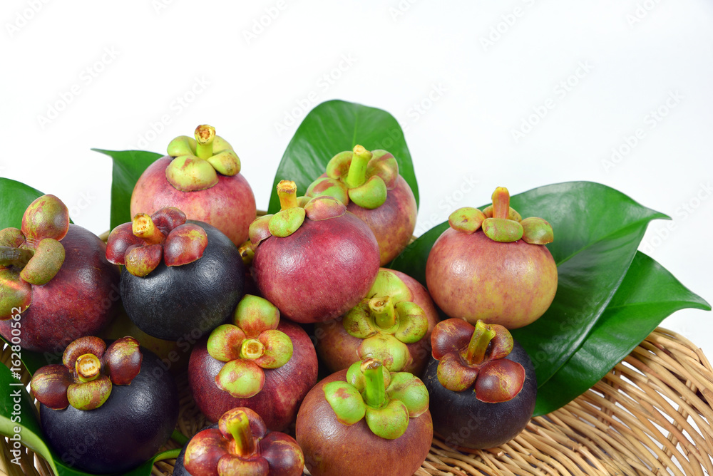 Mangosteen on white background. Mangosteen on white background.
