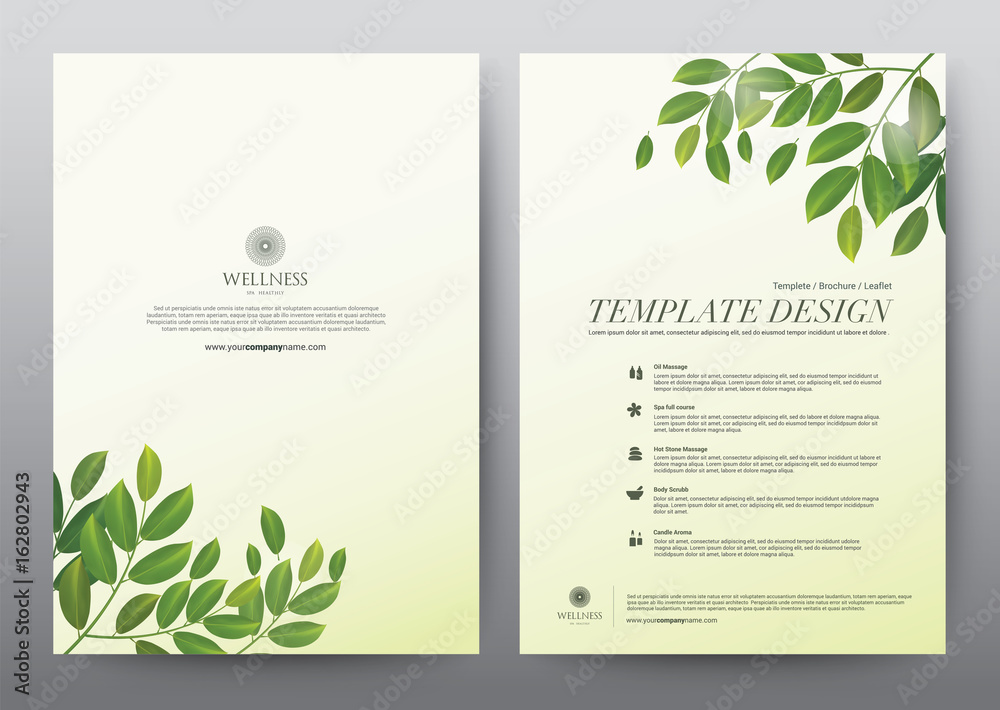 Layout Template elements, Presentation flat vector illustration design, brochure poster flyer leaflet