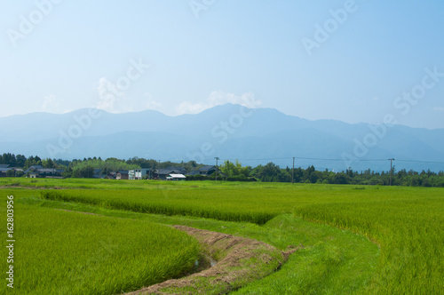 佐渡島 田園風景