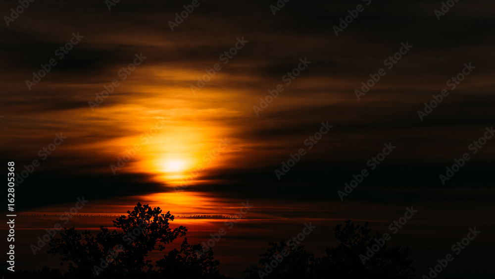 Panoramic view of african sunset in orange sky and tree silhouette