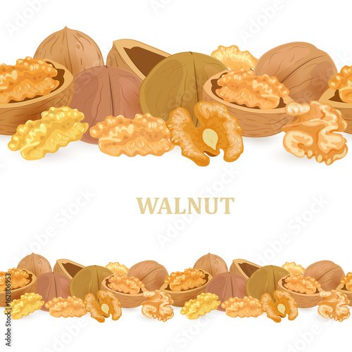 collection of seamless borders with walnuts for your design