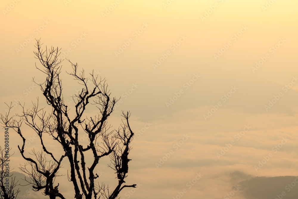 Morning fog in the mountains