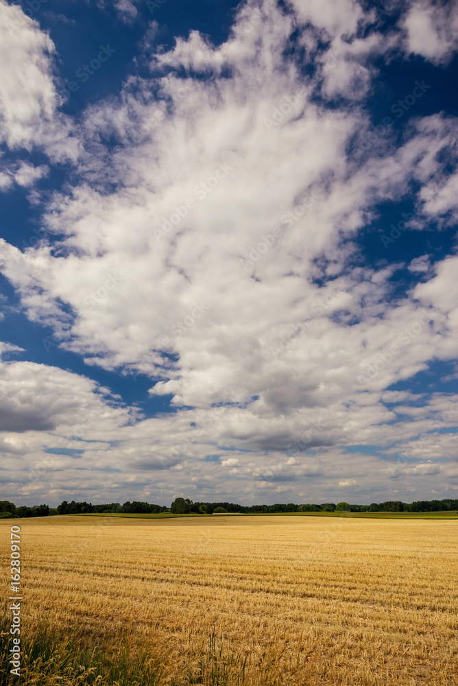 Cloudy sky over the field with harvested grain