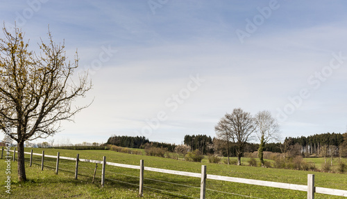 Fenced corral for cattle