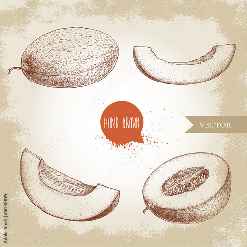 Hand drawn sketch style illustration set of ripe melons and melon slices. Organic food vector illustration.