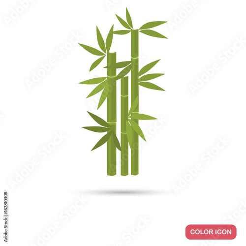 Bamboo color flat icon for web and mobile design