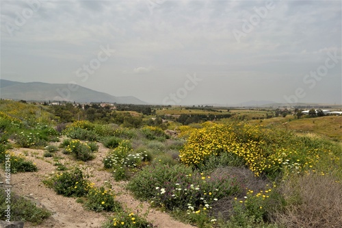 Wallpaper Mural Landschaft in Israel Torontodigital.ca