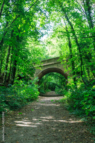 A Railway Bridge in the Countryside