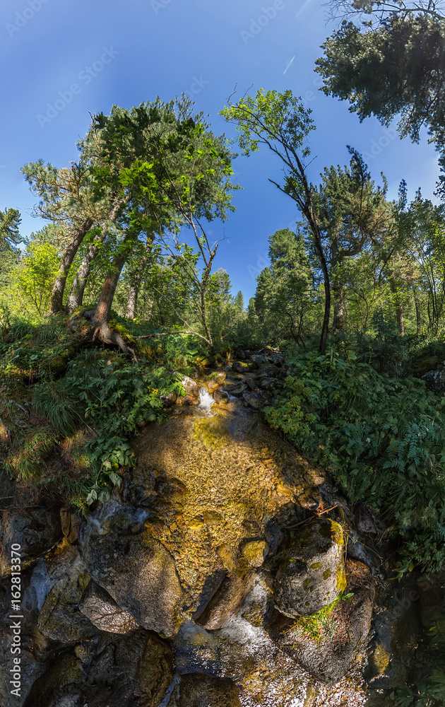 Creek in the fairy forest wide-angle panorama polar distortion Creek in the fairy forest wide-angle panorama polar distortion