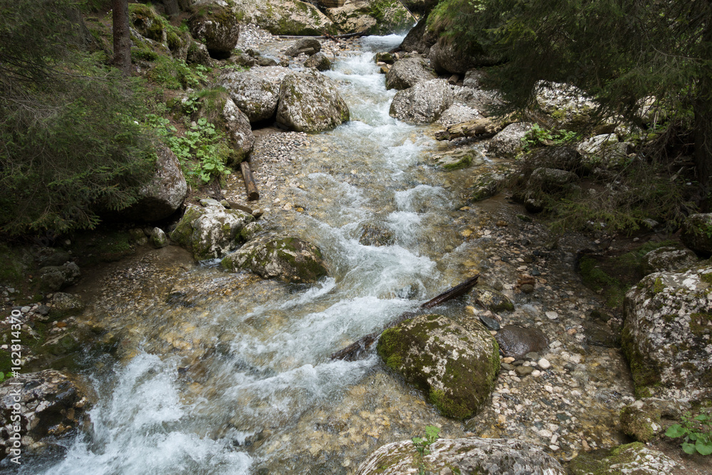 Fast river near forest in Bucegi mountains, Romania Fast river near forest in Bucegi mountains, Romania