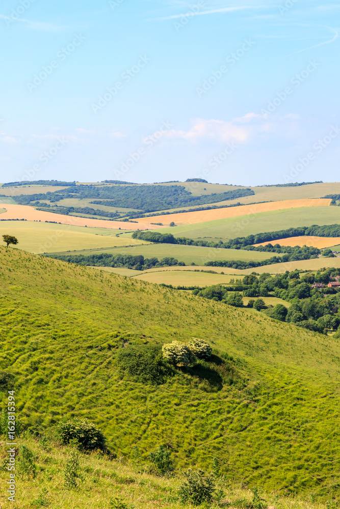 Along the South Downs Way