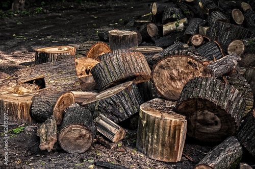 sawn wood