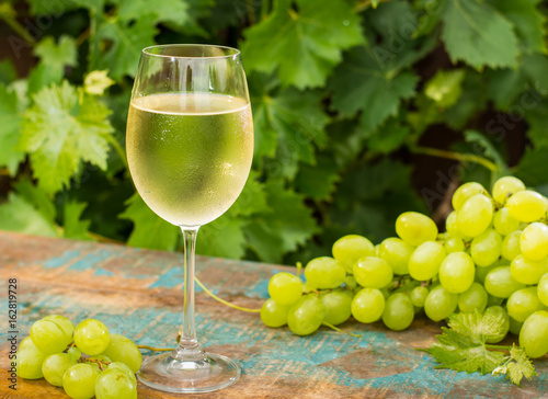 Wallpaper Mural Wine glass with ice cold white wine, outdoor terrace, wine tasting in sunny day, green vineyard garden background. Torontodigital.ca