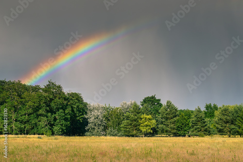 Regenbogen überm Wald