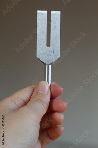 tuning fork . 
