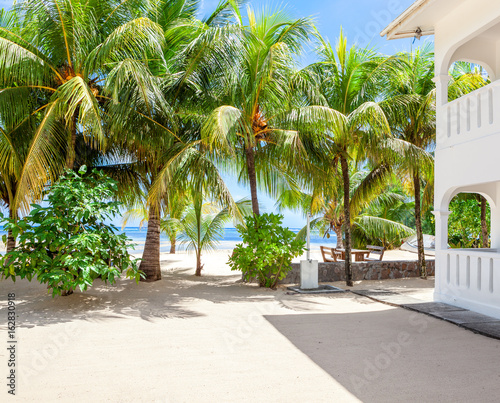 Tropical beach with Coconut palm trees, Mahe, Seychelles.
