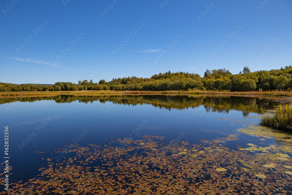Fototapeta premium Calm lake with trees along coast. Autumn summer day.