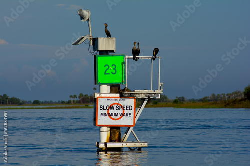 Channel marker with birds in water 