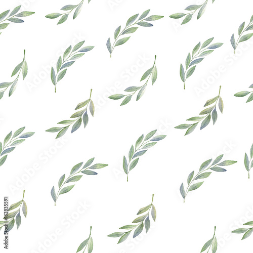 Olive branch hand drawn watercolor seamless pattern