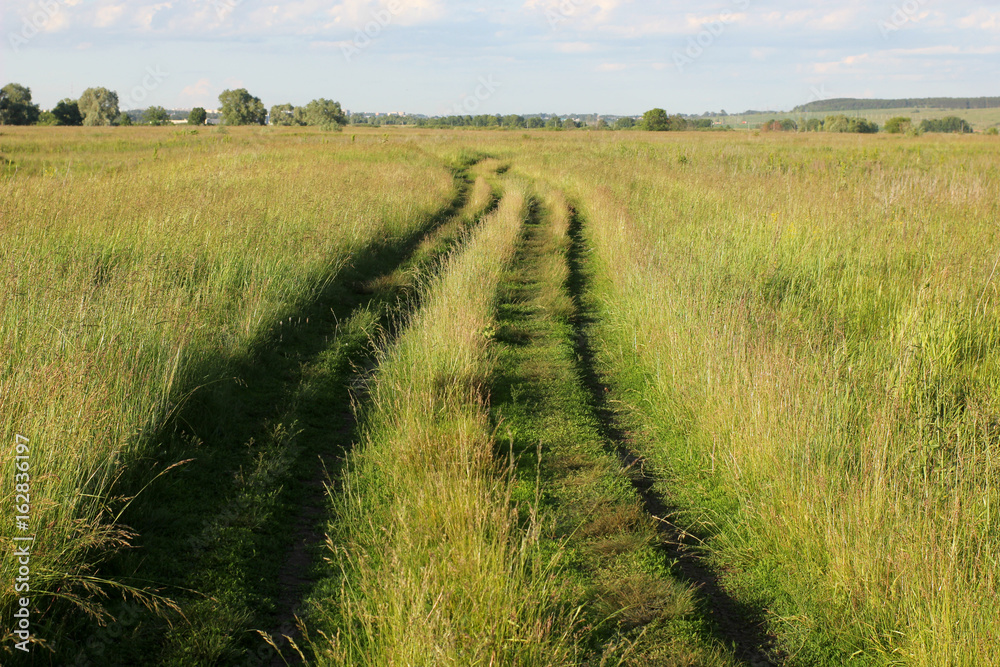 dirt road in a field with tall grasses