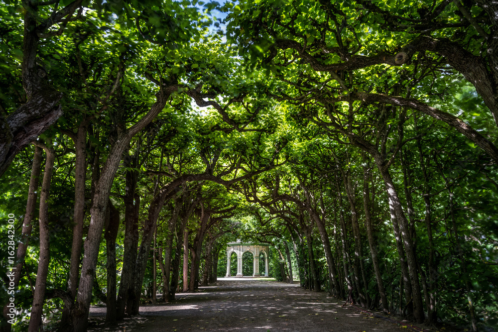 Park Park