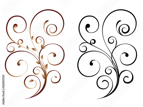 Floral. Vector illustration.