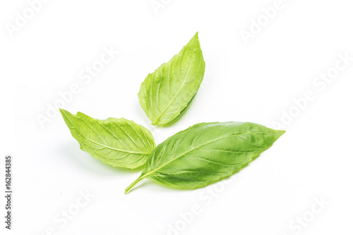 Close up studio shot of fresh green basil herb leaves isolated on white background. Sweet Genovese basil