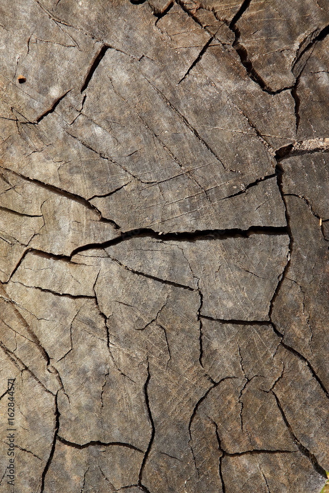 Obraz premium creative