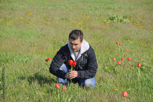 A man in a jacket on a field of tulips. Glade with tulips. A man is tearing tulips in a bouquet © eleonimages