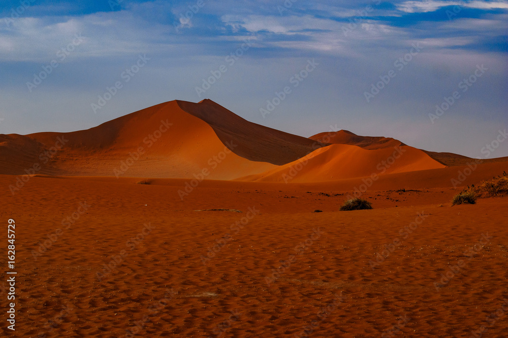 Contrasting Dune in the Afternoon Sun. Namibia Desert, Namibia