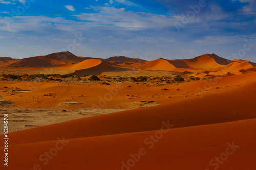 Contrasting Dune in the Afternoon Sun. Namibia Desert, Namibia