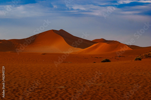 Contrasting Dune in the Afternoon Sun. Namibia Desert  Namibia
