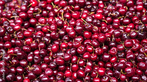 Fresh and ripe field of cherries