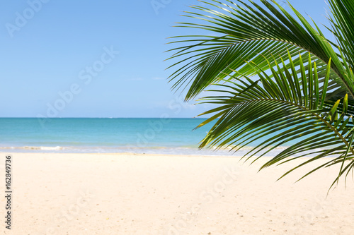 Sunny tropical beach