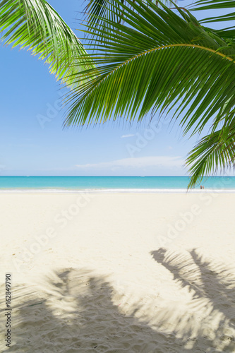 Sunny tropical beach