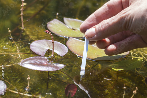 PH-Wert Analyse von Teichwasser mittels Teststreifen photo