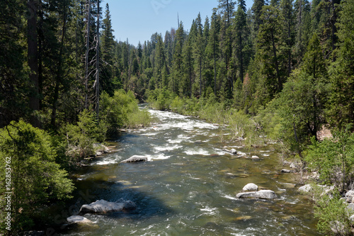 Canvas-taulu North Fork of the Stanislaus River passing through Calaveras Big Trees State Par