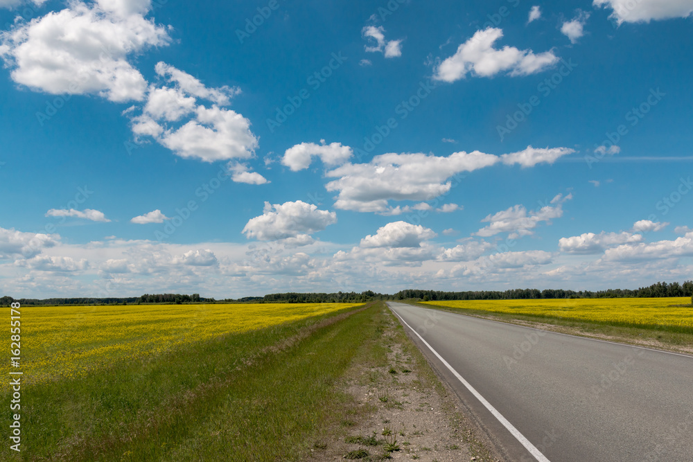 Motorway behind which the blue sky with clouds over the field with yellow flowers